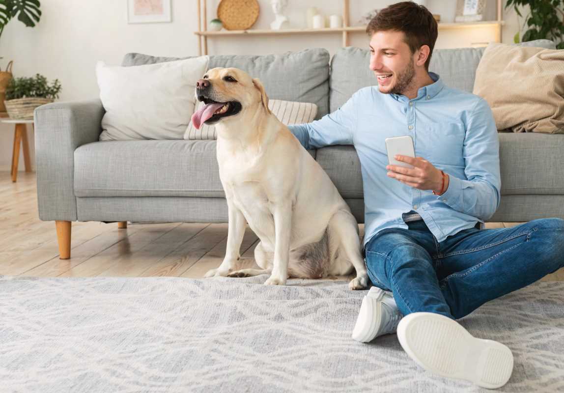 Pet-Friendly Design Tips for Your Furry Friends